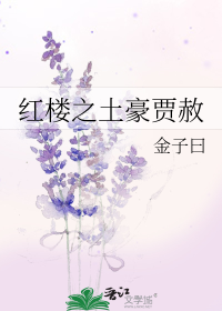 红楼之土豪贾赦