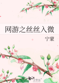 网游之丝丝入微