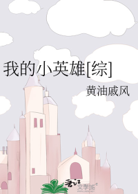 我的小英雄[综]